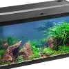 EHEIM Aquastar 54 LED Schwarz - Aquarienset -Interaquaristik Verkäufe 0340645 EHEIM aquastar 54 LED schwarz 01