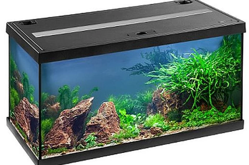 EHEIM aquastar 54 LED schwarz - Aquarienset EHEIM Aquastar 54 LED Schwarz - Aquarienset -Interaquaristik Verkäufe 0340645 EHEIM aquastar 54 LED schwarz 01