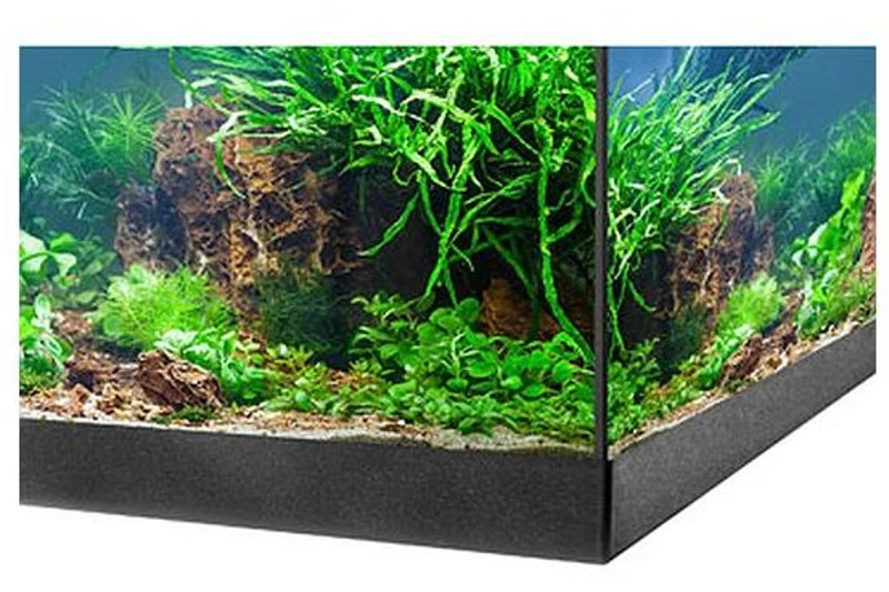 EHEIM aquastar 54 LED schwarz - Aquarienset EHEIM Aquastar 54 LED Schwarz - Aquarienset -Interaquaristik Verkäufe 0340645 EHEIM aquastar 54 LED schwarz 02