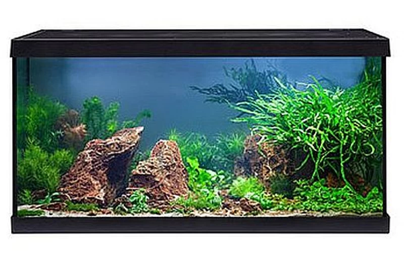 EHEIM aquastar 54 LED schwarz - Aquarienset EHEIM Aquastar 54 LED Schwarz - Aquarienset -Interaquaristik Verkäufe 0340645 EHEIM aquastar 54 LED schwarz 05