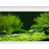 EHEIM AquaproLED 180 Weiß - Aquarienset -Interaquaristik Verkäufe 0341099 EHEIM aquaproLED 180 weiss 01