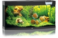 Juwel Vision 260 LED Schwarz Aquarium-Set -Interaquaristik Verkäufe 13j6350 JUWEL Vision 260 LED schwarz Aquarium 2