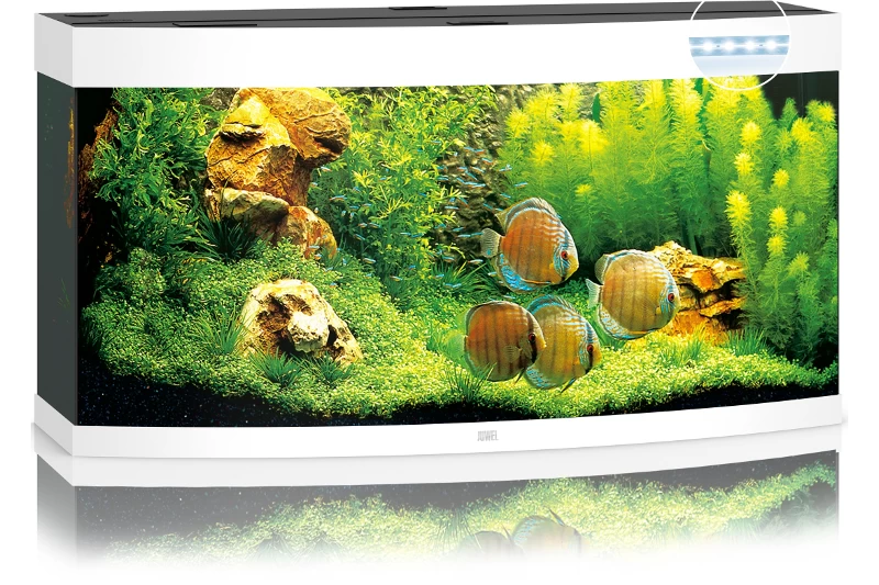 Juwel Vision 260 LED weiß Aquarium-Set Juwel Vision 260 LED Weiß Aquarium-Set -Interaquaristik Verkäufe 13j6450 JUWEL Vision 260 LED weiss Aquarium 2