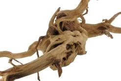 Stoffels Spiderwood Mittel, Ca. 25-40 Cm -Interaquaristik Verkäufe 15675 Stoffels Spiderwood mittel ca 30 50 cm