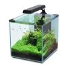 Aquatlantis Aquarienset Nano Cubic 30 LED, Schwarz -Interaquaristik Verkäufe 16a08882 Aquatlantis Nano Cubic 30 schwarz