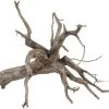 Sera Scaper Root S • 25,0 Bis 30,0 Cm 2 Sera Scaper Root S • 25,0 Bis 30,0 Cm -Interaquaristik Verkäufe 32359 Sera Scaper Root small 25 30 cm