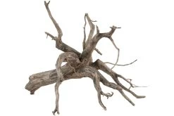 Sera Scaper Root S • 25,0 Bis 30,0 Cm