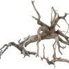 Sera Scaper Root M • 30,0 Bis 35,0 Cm 2 Sera Scaper Root M • 30,0 Bis 35,0 Cm -Interaquaristik Verkäufe 32360 Sera Scaper Root middle 30 35 cm