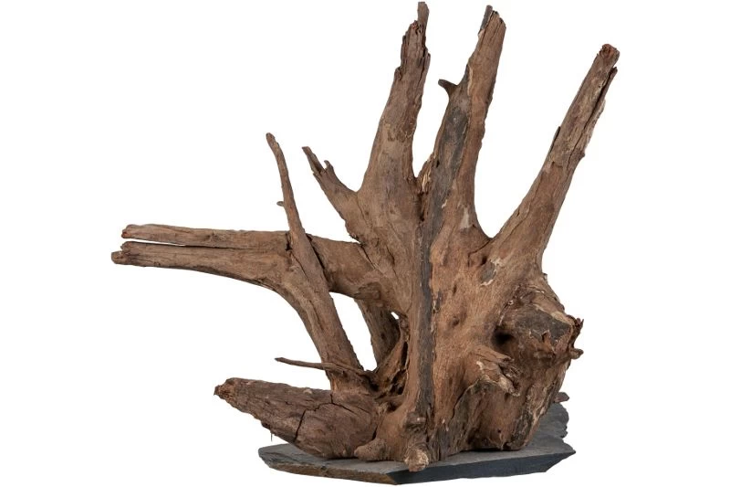 Sera Scaper Wood L • 30,0 bis 35,0 cm Sera Scaper Wood L • 30,0 Bis 35,0 Cm -Interaquaristik Verkäufe 32362 Sera Scaper wood large 30 35 cm