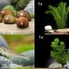Bundle Algen-SEK: 4 X Rennschnecke + 6 X Amanogarnele Größe M + 2 Pflanzen 2 Bundle Algen-SEK: 4 X Rennschnecke + 6 X Amanogarnele Größe M + 2 Pflanzen -Interaquaristik Verkäufe Algen SEK 4x Rennschnecke 6x Amanogarnele 2 Pflanzen