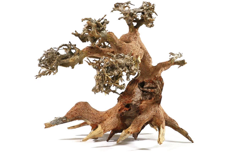 Aquadeco Aqua-Bonsai M, 23-30 cm Aquadeco Aqua-Bonsai M, 23-30 Cm -Interaquaristik Verkäufe Aquadeco Aqua Bonsai 1