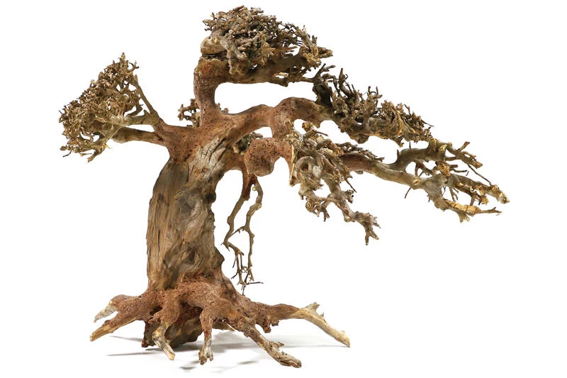 Aquadeco Aqua-Bonsai M, 23-30 cm Aquadeco Aqua-Bonsai M, 23-30 Cm -Interaquaristik Verkäufe Aquadeco Aqua Bonsai 2