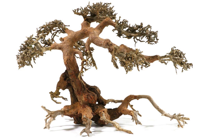 Aquadeco Aqua-Bonsai M, 23-30 cm Aquadeco Aqua-Bonsai M, 23-30 Cm -Interaquaristik Verkäufe Aquadeco Aqua Bonsai 3