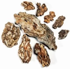 Aquadeco Drachenstein Dekoset Für 100 Cm Aquarium -Interaquaristik Verkäufe Aquadeco Drachenstein 60 P