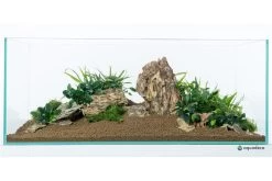 Aquadeco Drachenstein Dekoset Für 60 Cm Aquarium -Interaquaristik Verkäufe Aquadeco Drachenstein Dekoset 3 1