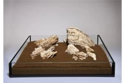 Aquadeco Helle Pagode Dekoset Für 120 Cm Aquarium 7 Aquadeco Helle Pagode Dekoset Für 120 Cm Aquarium -Interaquaristik Verkäufe Aquadeco Helle Pagode 1 2