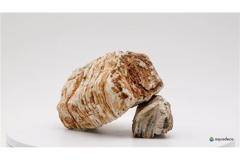 Aquadeco Helle Pagode Dekoset für 60 cm Aquarium Aquadeco Helle Pagode Dekoset Für 60 Cm Aquarium -Interaquaristik Verkäufe Aquadeco Helle Pagode 3