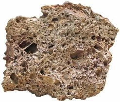 Aquadeco Versteinertes Laub Dekoset Für 100 Cm Aquarium 4 Aquadeco Versteinertes Laub Dekoset Für 100 Cm Aquarium -Interaquaristik Verkäufe Aquadeco Versteinertes Laub 1