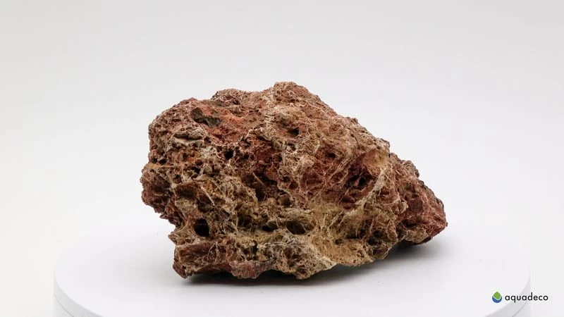 Aquadeco Versteinertes Laub Dekoset für 80 cm Aquarium Aquadeco Versteinertes Laub Dekoset Für 80 Cm Aquarium -Interaquaristik Verkäufe Aquadeco Versteinertes Laub 2