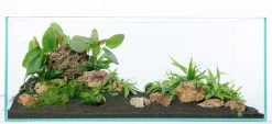Aquadeco Versteinertes Laub Dekoset Für 80 Cm Aquarium 6 Aquadeco Versteinertes Laub Dekoset Für 80 Cm Aquarium -Interaquaristik Verkäufe Aquadeco Versteinertes Laub Dekose 3
