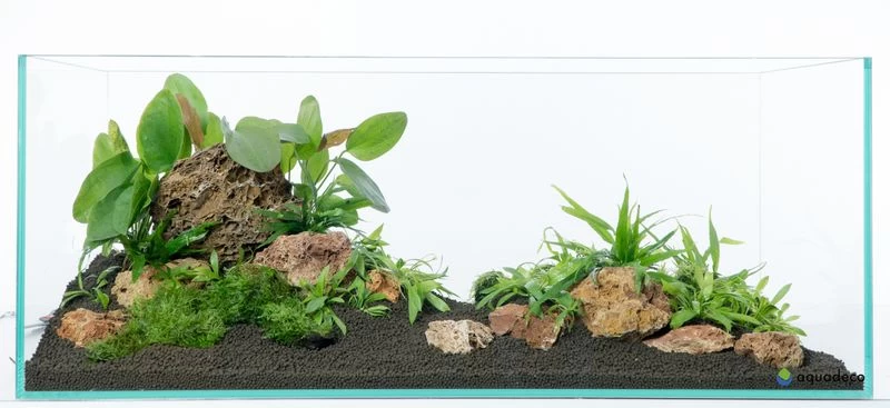 Aquadeco Versteinertes Laub Dekoset für 80 cm Aquarium Aquadeco Versteinertes Laub Dekoset Für 80 Cm Aquarium -Interaquaristik Verkäufe Aquadeco Versteinertes Laub Dekose 3
