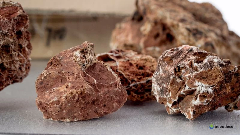 Aquadeco Versteinertes Laub Dekoset für 80 cm Aquarium Aquadeco Versteinertes Laub Dekoset Für 80 Cm Aquarium -Interaquaristik Verkäufe Aquadeco Versteinertes Laub Dekose 4