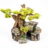 Aquatlantis Bonsai -Interaquaristik Verkäufe Bonsai