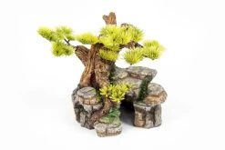 Aquatlantis Bonsai