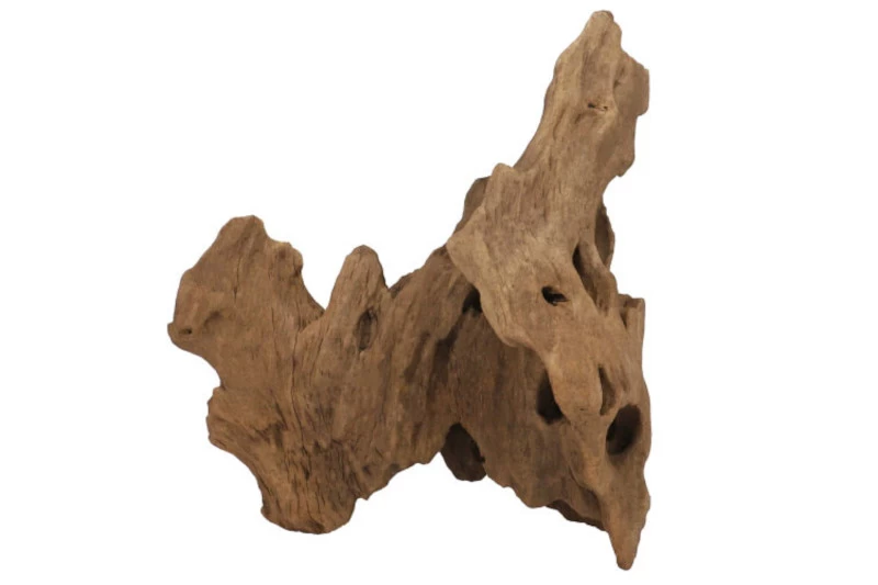 Hobby Crown Wood Hobby Crown Wood -Interaquaristik Verkäufe Crown Wood S