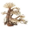 Dupla Bonsai L, Handgemachte Aquariendeko -Interaquaristik Verkäufe Dupla Bonsai L 2