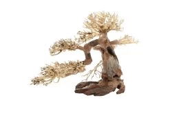 Dupla Bonsai L, Handgemachte Aquariendeko -Interaquaristik Verkäufe Dupla Bonsai L 3