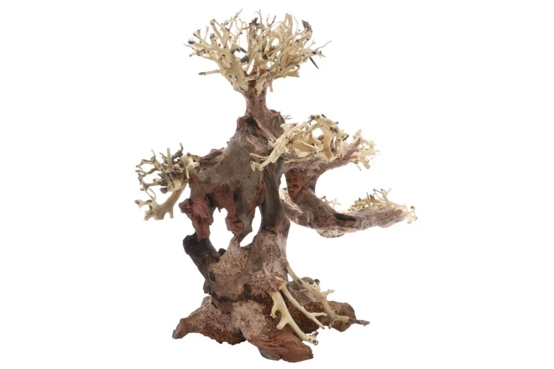 Dupla Bonsai M, Handgemachte Aquariendeko Dupla Bonsai M, Handgemachte Aquariendeko -Interaquaristik Verkäufe Dupla Bonsai M 1