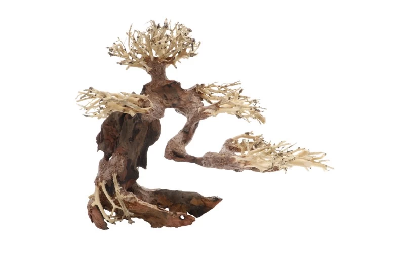 Dupla Bonsai M, Handgemachte Aquariendeko Dupla Bonsai M, Handgemachte Aquariendeko -Interaquaristik Verkäufe Dupla Bonsai M 3