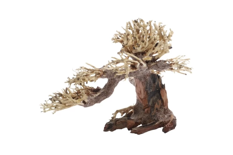 Dupla Bonsai S, Handgemachte Aquariendeko Dupla Bonsai S, Handgemachte Aquariendeko -Interaquaristik Verkäufe Dupla Bonsai S 1