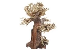 Dupla Bonsai S, Handgemachte Aquariendeko 4 Dupla Bonsai S, Handgemachte Aquariendeko -Interaquaristik Verkäufe Dupla Bonsai S 3