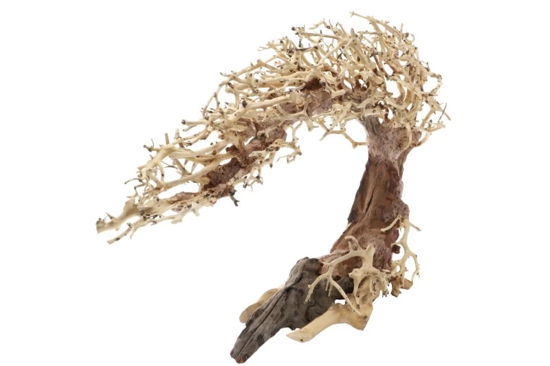 Dupla Crooked Root L, Handgemachte Aquariendeko Dupla Crooked Root L, Handgemachte Aquariendeko -Interaquaristik Verkäufe Dupla Crooked Root L 2