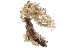 Dupla Crooked Root M, Handgemachte Aquariendeko -Interaquaristik Verkäufe Dupla Crooked Root M 3
