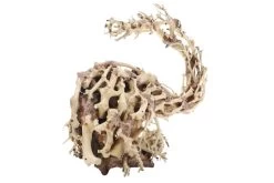 Dupla Wizard Root M, Handgemachte Aquariendeko -Interaquaristik Verkäufe Dupla Wizard Root M 3