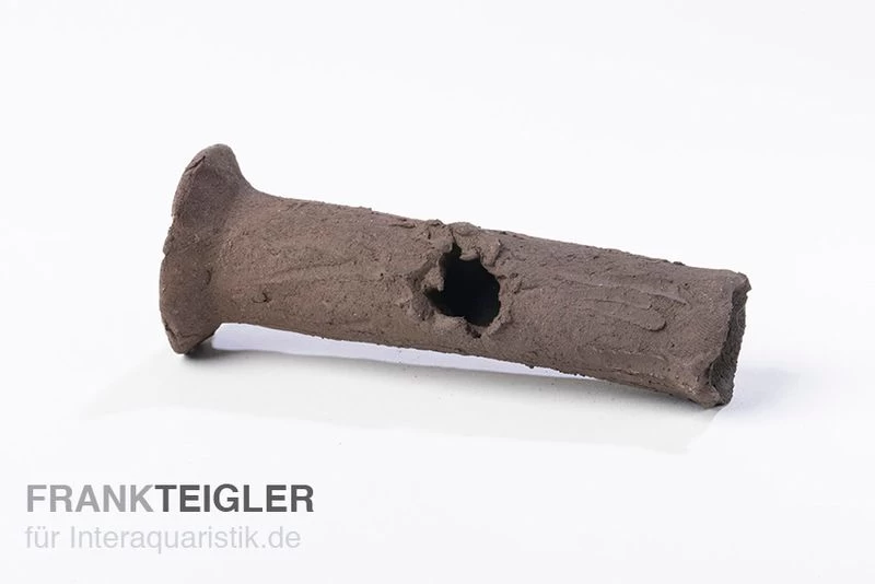 Aquariumkeramik Garnelenstamm mini schwarz Aquariumkeramik Garnelenstamm Mini Schwarz -Interaquaristik Verkäufe Gastamm 0 schw