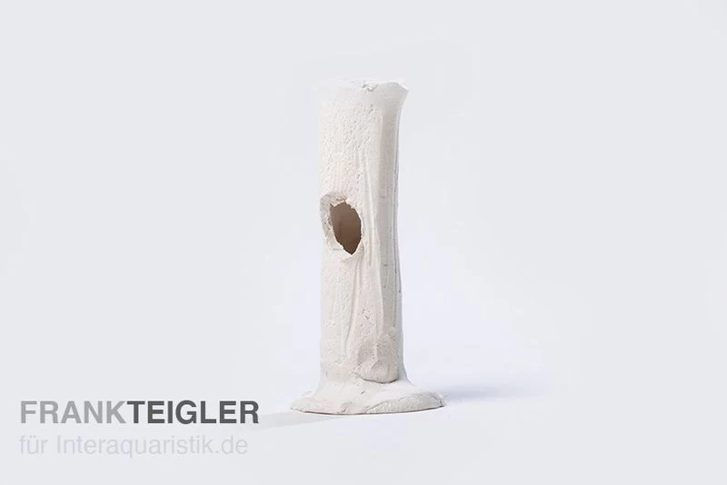 Aquariumkeramik Garnelenstamm mini weiß Aquariumkeramik Garnelenstamm Mini Weiß -Interaquaristik Verkäufe Gastamm gr 0 wei