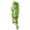 Hobby Climber Tropica, 70 Cm -Interaquaristik Verkäufe Hobby Climber Tropica 70 cm