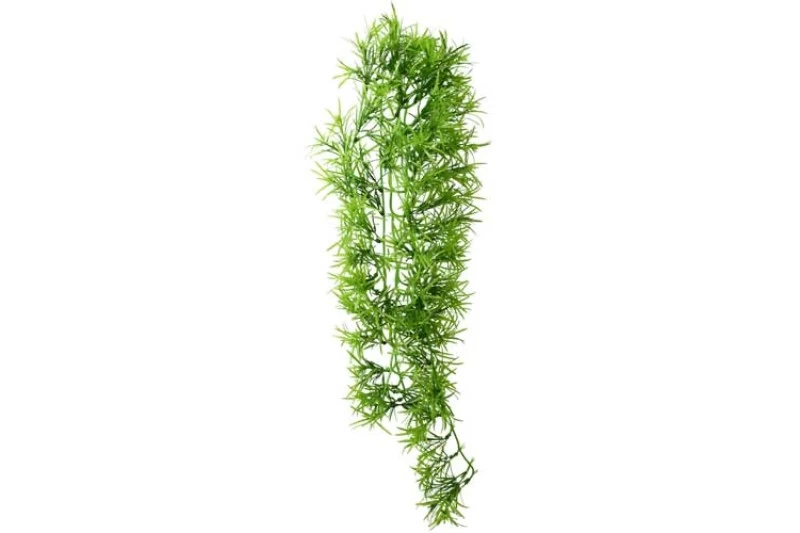 Hobby Climber Tropica, 70 cm Hobby Climber Tropica, 70 Cm -Interaquaristik Verkäufe Hobby Climber Tropica 70 cm