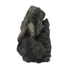 Hobby Coober Rock 1 1 Hobby Coober Rock 1 -Interaquaristik Verkäufe Hobby Coober Rock 1 1