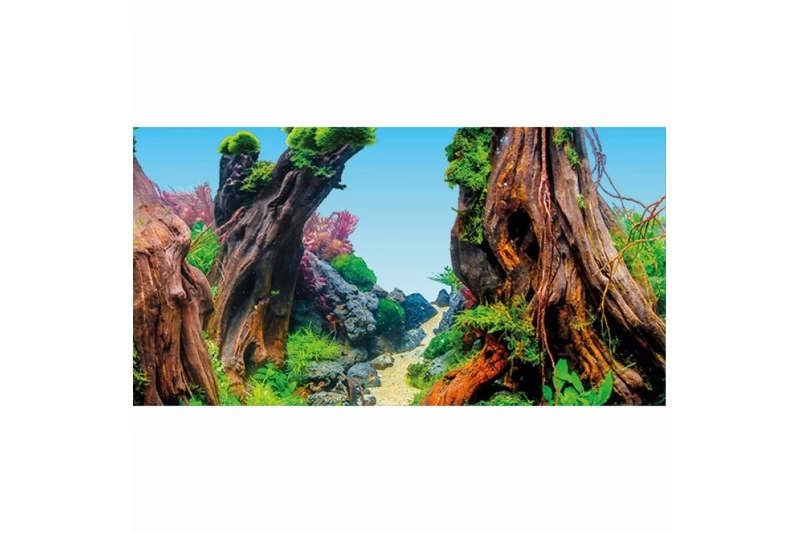 Hobby Fotorückwandzuschnitt Green Dream/Wooden Sky, 100 cm x 50 cm Hobby Fotorückwandzuschnitt Green Dream/Wooden Sky, 100 Cm X 50 Cm -Interaquaristik Verkäufe Hobby Green Dream Wooden Sky Fotorueckwand 2