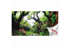 Hobby Fotorückwandzuschnitt Green Dream/Wooden Sky, 100 Cm X 50 Cm