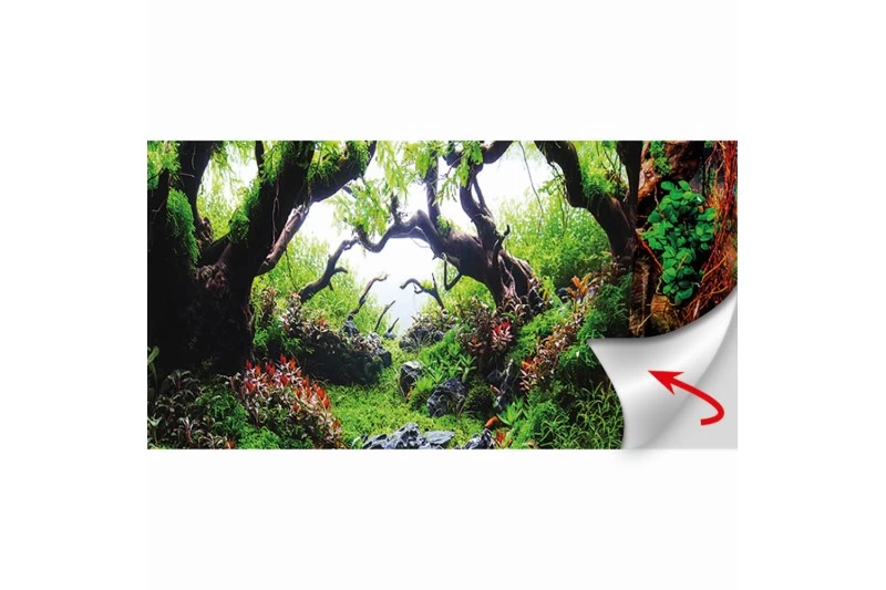 Hobby Fotorückwandzuschnitt Green Dream/Wooden Sky, 100 cm x 50 cm Hobby Fotorückwandzuschnitt Green Dream/Wooden Sky, 100 Cm X 50 Cm -Interaquaristik Verkäufe Hobby Green Dream Wooden Sky Fotorueckwand