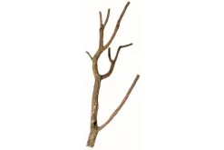 Hobby Korktronchos L, Ca. 75-100 Cm