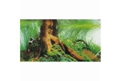 Hobby Fotorückwandzuschnitt Pearl River/Deep Delta, 100 Cm X 50 Cm -Interaquaristik Verkäufe Hobby Pearl River Deep Delta Fotorueckwand 3