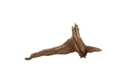 Hobby Pine Root L, Ca. 50-60 Cm -Interaquaristik Verkäufe Hobby Pine Root 2