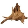 Hobby Pine Root L, Ca. 50-60 Cm 2 Hobby Pine Root L, Ca. 50-60 Cm -Interaquaristik Verkäufe Hobby Pine Root 3